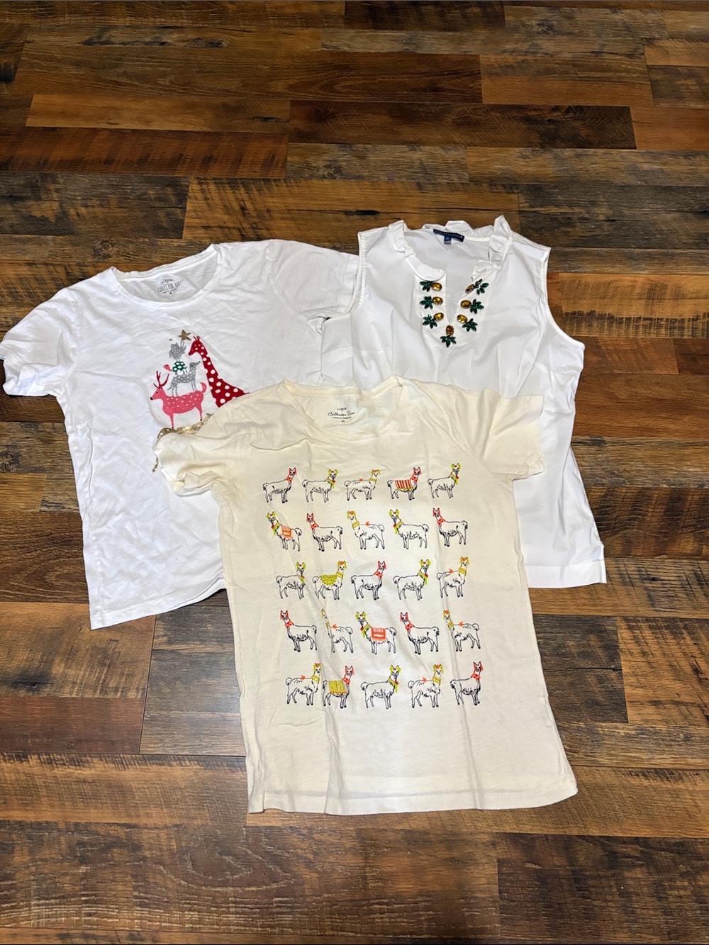 Women’s Small Shirt Lot